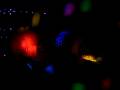 videos de MVI 1887