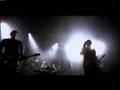Saved - Zug Izland