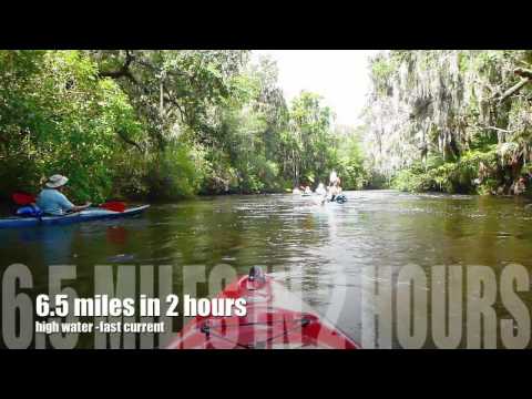 Lithia Springs to Alafia Boat Ramp