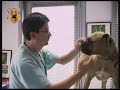 United Kennels K-9 Training Academy