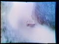Old Swedish Rally Footage