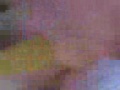 videos de the rat