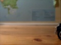 dropkick-dreadwing-and-payload-transforming-in-stop-motion.html
