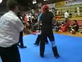 bestfighter 2008 pointfight