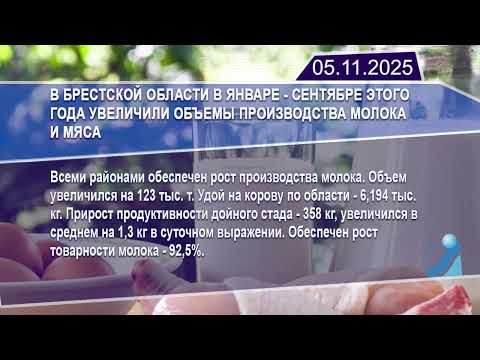 Новостная лента Телеканала Интекс 05.11.25.