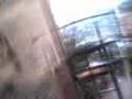 videos de jimbo webeo II