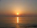 videos de Marea Neagra