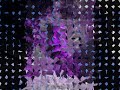Cosmic Ordering The secret LOA Laws of Attraction Cosmic Ordering The secret LOA Laws of Attraction