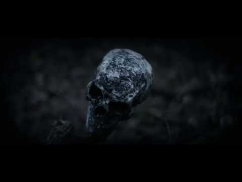 Youtube Video qWT2FV8xaBE