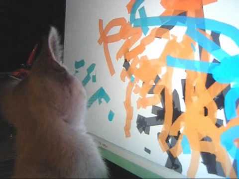 Kitten plays with Paint - HP Touchsmart 310