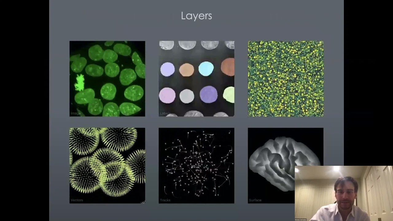 Nicholas Sofroniew: "napari: a Python multi-dimensional image visualization and analysis..."