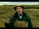 Bill Nye and his Wood Bill Nye and his Wood
