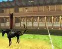 Oblivion Jousting Demo Oblivion Jousting Demo
