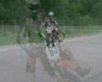 KTM-dirt-bike-stunts