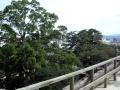 One Last Look at Matsue Castle
