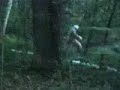 michigan bigfoot sighting on film