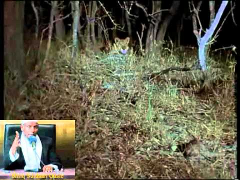See video