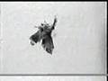 Autocratic Forcefeed- Crystal Lake in the Winter