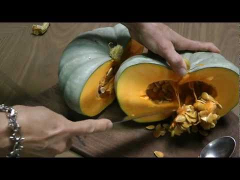 how to grow qld blue pumpkin