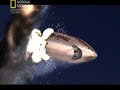 twa flight 800 disaster