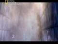 TWA Flight 800 Disaster