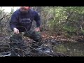 8mm style trapping highlight reel