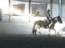 Today we had some pretty simple goals: to remain on the rail; to complete at least one full lap around the ring at the canter; and to work on bending in the corners.  We had a little bump in the road, but overall it was a great day.  You can actually watch the progress happening when he's on the left lead:  the first round we work on just picking up the lead and not bucking; the next round we attempt to continue the canter, but cut the far corner drastically; the final lap he continues to canter but stays on the rail.  He definitely gave a good effort.  :)    Tomorrow we'll work on extending the trot and the canter while enforcing the goals we worked on today.Special thanks to Melanie for filming for me--love you, Kiddo!