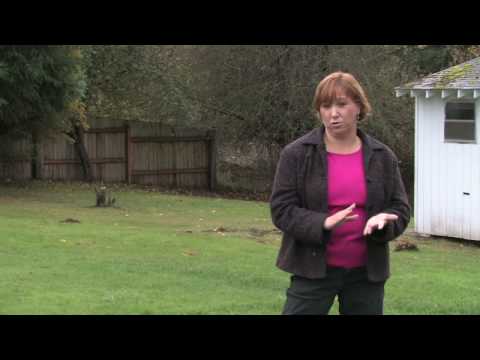 how to start a lawn care business ehow