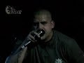 Intrigage \ Intrigage \