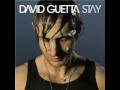 David Guetta & Joachim Garraud - Stay (Gerard FM 2009 rework)