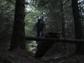 mountain bike freeride film