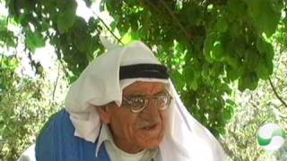 سلبيت - الجزء 1 من 2 سلبيت - الجزء 1 من 2