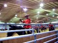 Musical Ride 3