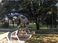 Flips in Zlin