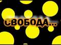 Dj Boyko and Sound Shocking - Kazantipa.net (DVJ KiM Video)
