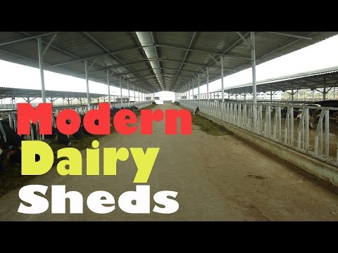 how to dairy farming in india