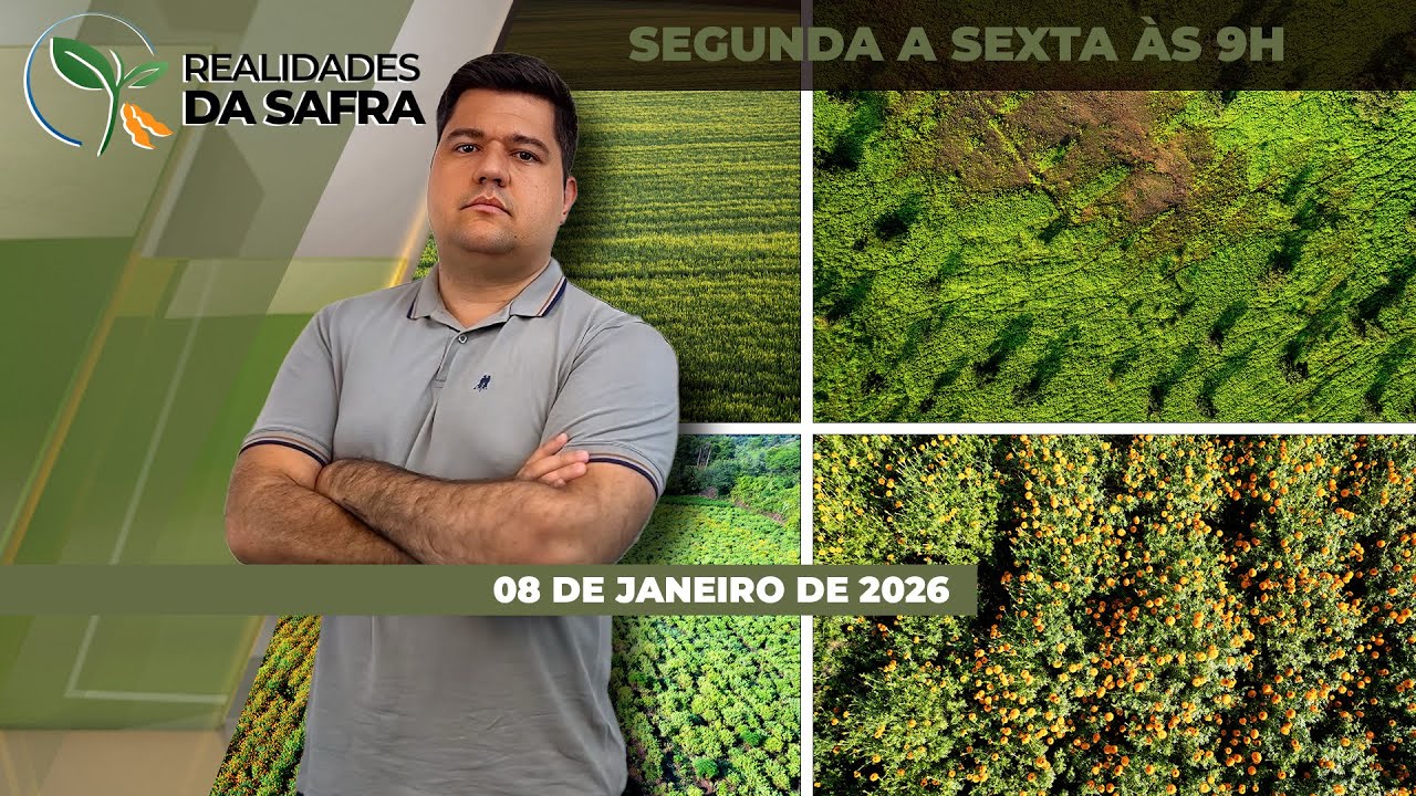 Boas produtividades são esperadas para soja de Guaíra/PR, que já começou a colher, e Amambai/MS.....