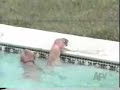 AFV - Swimming Rules