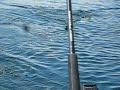The Fishin\ The Fishin\