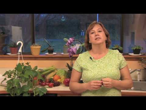 how to fertilize centipede sod