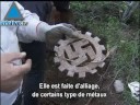Un journaliste affirme avoir trouvé les restes des objets dé