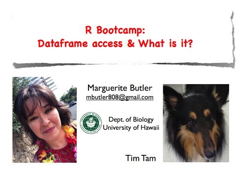 how to define data frame in r