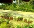 Kumarakom Trip!!!!!!!!!!!