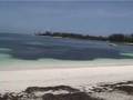 videos de Cruising Powell, Manjack, and Green Turtle Cays