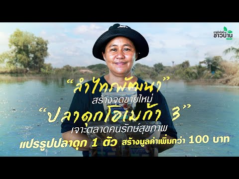 สร้างจุดขายใหม่ “ปลาดุกโอเมก้า 3” แปรรูปปลาดุก 1 ตัว สร้างมูลค่าเพิ่มกว่า 100 บาท | เทคโนโลยีชาวบ้าน