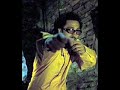SAF-Mis stoun