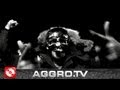 BUSHIDO & SIDO & B-TIGHT - AGGRO TEIL 2 (OFFICIAL HD VERSION)