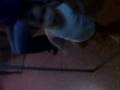 videos de Baile del caño Dana