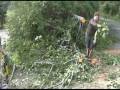 2009 Clayoquot Clean Up