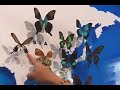 butterfly flute